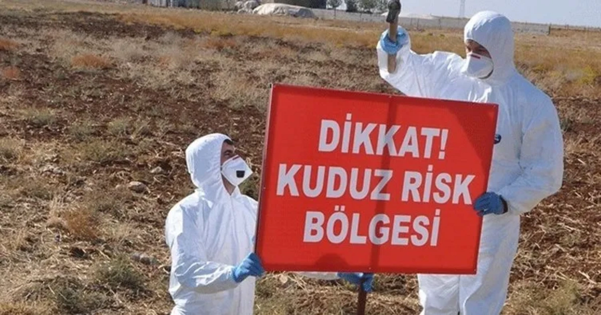 Adıyaman’da kuduz alarmı: Köseceli beldesi 6 ay karantinaya alındı