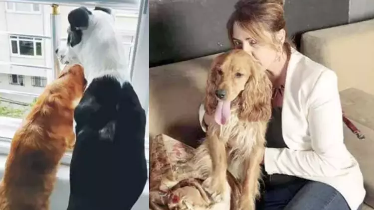 Can olduğu canlar yolunu gözlüyor… Şimdi destek sırası bizde