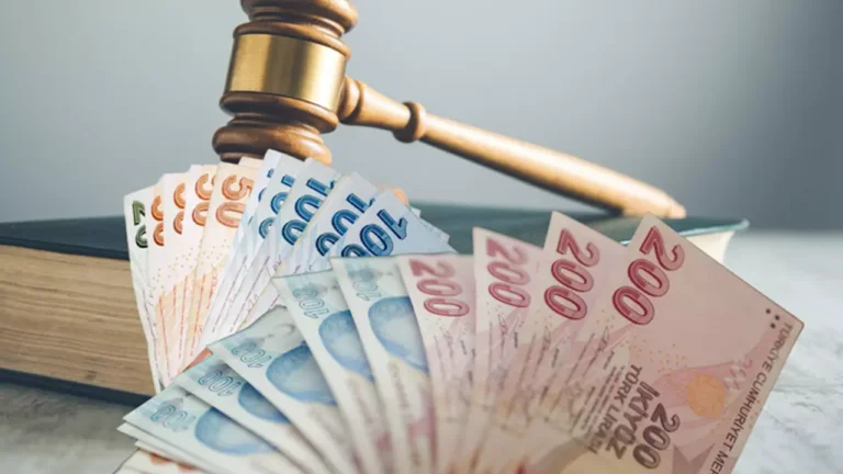 cezalar gelir modeli oldu 2 Ceza gelir modeli oldu