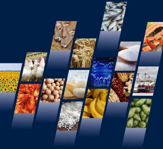fao FAO: Dünya gıda fiyatları ağustosta yüzde 1.9 artışla 133.3'e yükseldi