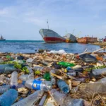 tek atom teknigi okyanusta 21 milyon ton plastik atik 12 Plastik atıklara bilimsel çözüm: Tek atomlu “neşter” 350 milyon ton PET’i dönüştürebilir