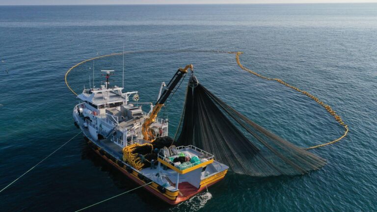 ticari amacli su urunleri avciligi duzenlemesi2 1 Su ürünleri sektörü Future Fish Eurasia’da buluşuyor: 26 ülkeden 165 firma İzmir’de