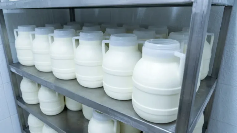 iki yogurt markasinda jelatin ve nisasta tespit edildi3 İki yoğurt markasında jelatin ve nişasta tespit edildi